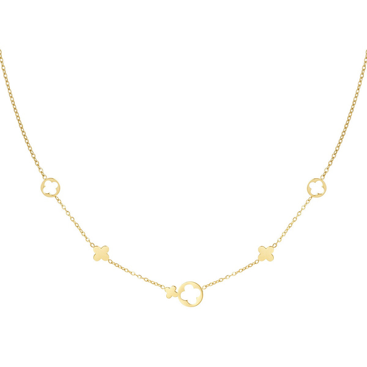 Chain Elenora Necklace